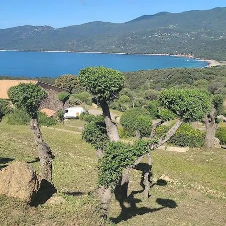 Le 114 - Duplex Terrasse Piscine 6 Pers Lejlighed Serra-di-Ferro (Corsica)