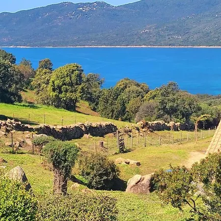 Le 114 - Duplex Terrasse Piscine 6 Pers Serra-di-Ferro (Corsica)