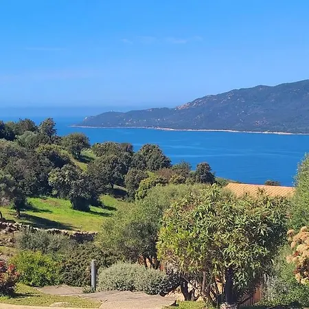 Le 114 - Duplex Terrasse Piscine 6 Pers Serra-di-Ferro (Corsica)