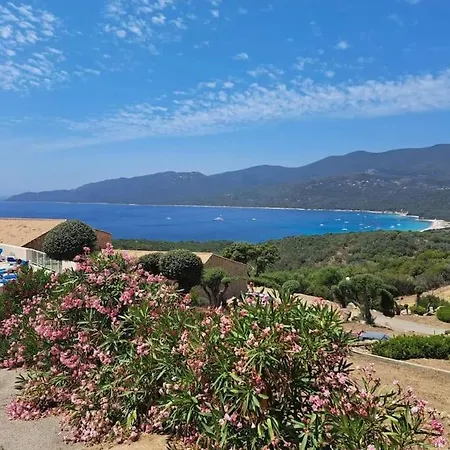 Le 114 - Duplex Terrasse Piscine 6 Pers Apartment Serra-di-Ferro (Corsica)