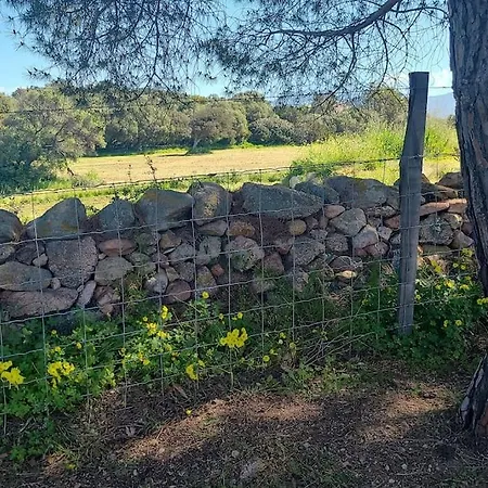 Apartamento Le 114 - Duplex Terrasse Piscine 6 Pers Serra-di-Ferro (Corsica)